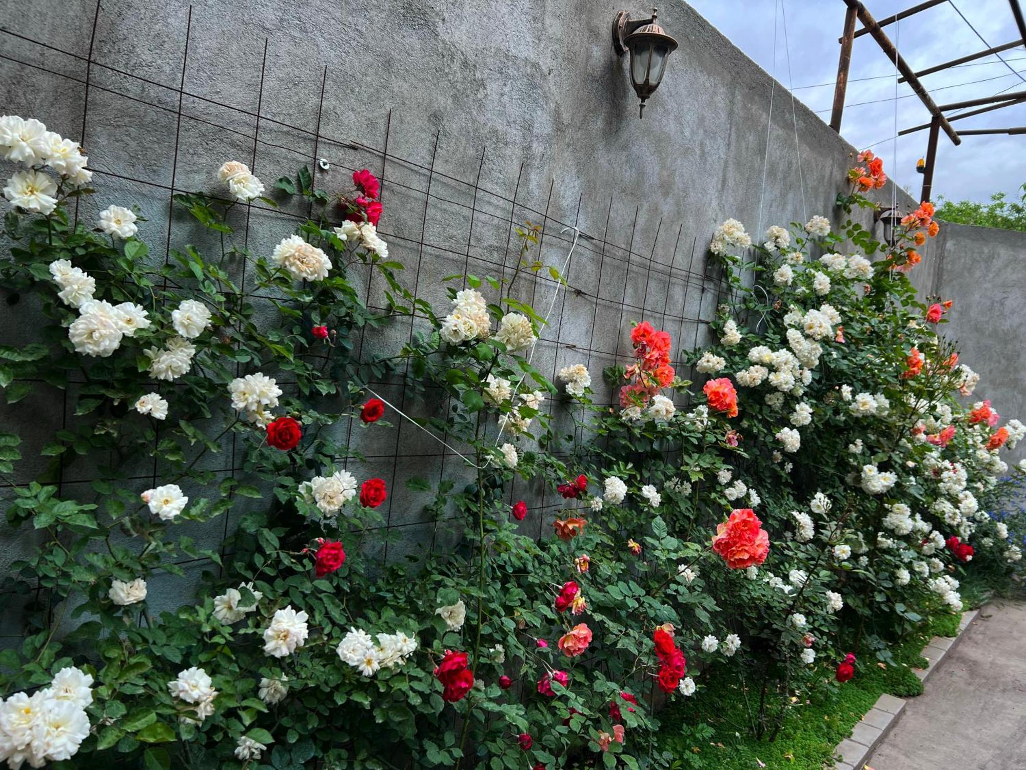 Hillside Guest House Yerevan Exterior photo